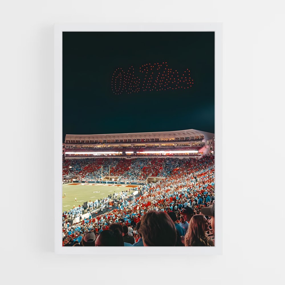 Poster Nuit des Rebels – affiche Baseball (vue 3)